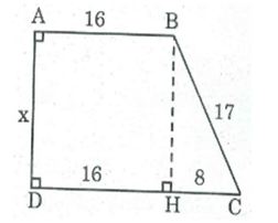 Bài tập môn Toán lớp 8