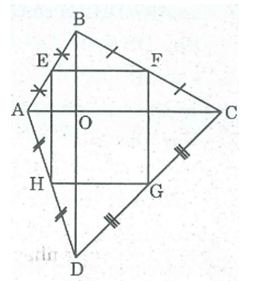 Bài tập môn Toán lớp 8