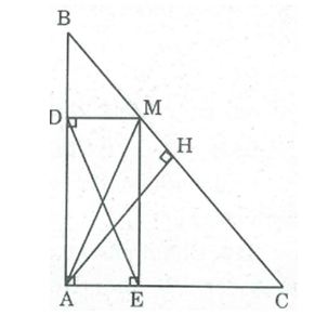 Bài tập môn Toán lớp 8