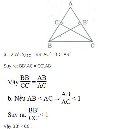 Bài tập toán lớp 8