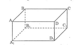 Bài tập môn Toán 8