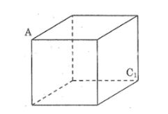 Bài tập môn Toán 8