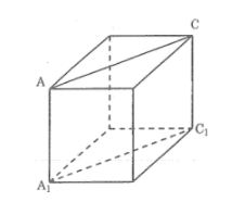 Bài tập môn Toán 8