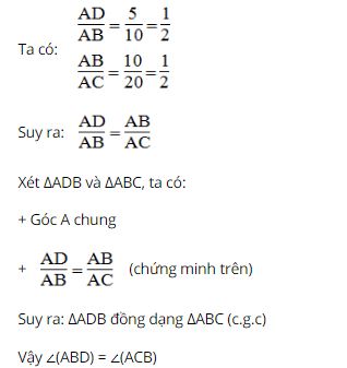 Bài tập toán lớp 8