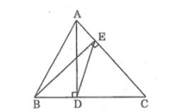 Bài tập môn Toán 8