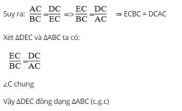Bài tập môn Toán 8