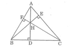 Bài tập môn Toán 8