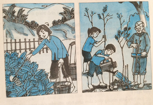 Giải vở bài tập Đạo đức 3 bài 14: Chăm sóc cây trồng, vật nuôi