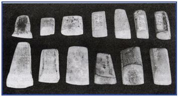 Lý thuyết Lịch sử 10 bài 13: Việt Nam thời nguyên thủy