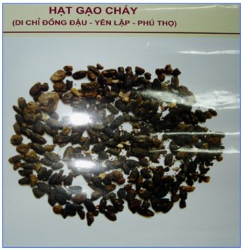 Lý thuyết Lịch sử 10 bài 13: Việt Nam thời nguyên thủy