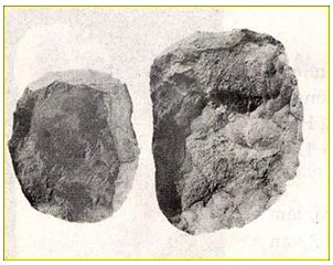 Lý thuyết Lịch sử 10 bài 13: Việt Nam thời nguyên thủy