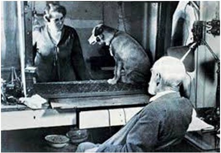 Lý thuyết Lịch sử 10 bài 34: Các nước tư bản chuyển sang giai đoạn đế quốc chủ nghĩa