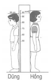 Giải vở bài tập Toán 2 bài 23 trang 26