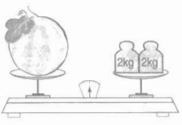 Hướng dẫn Giải vở bài tập Toán 2 bài 31