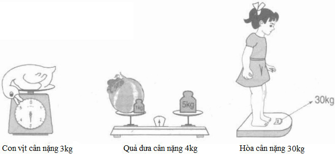 Giải vở bài tập Toán 2 bài 83
