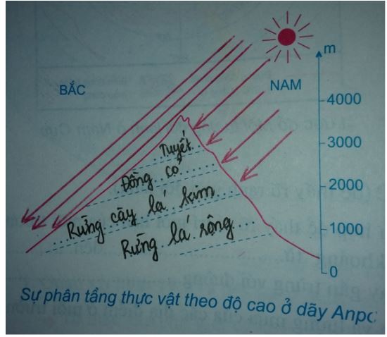 Tập bản đồ lớp 7