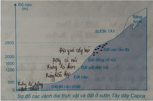 Tập bản đồ địa lý 10