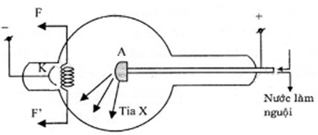 Giải bài tập SGK Vật lý 12 bài 28: Tia X