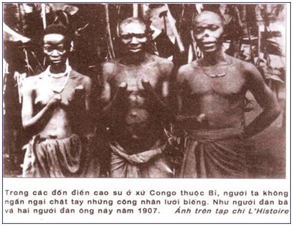 Lý thuyết Lịch sử 11 bài 5: Châu Phi và các nước Mỹ La-tinh (cuối thế kỉ XIX - đầu thế kỉ XX)