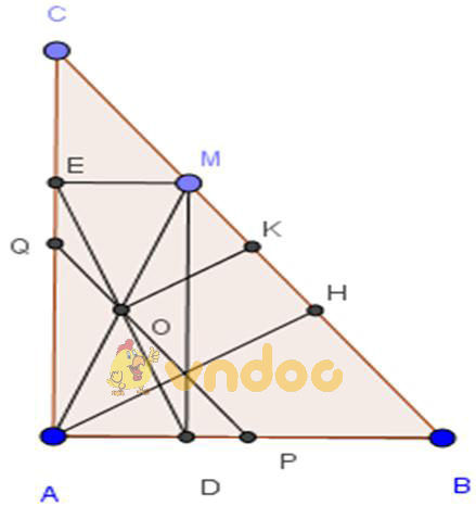 Giải bài tập SGK Toán lớp 8 bài 10: Đường thẳng song song với một đường thẳng cho trước