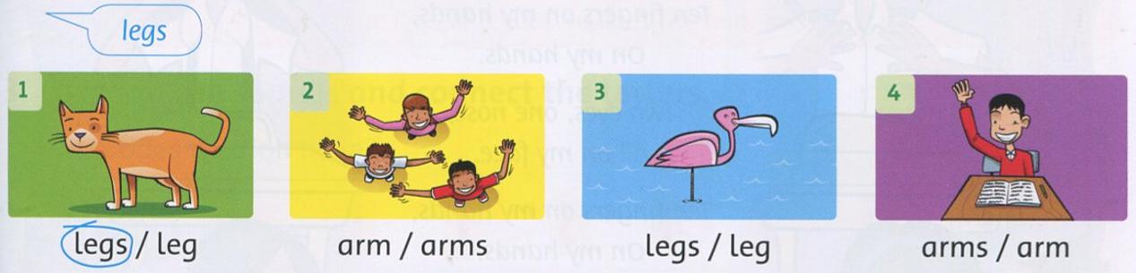 Giải bài tập tiếng Anh lớp 2