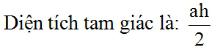 Giải bài tập SGK Toán lớp 8 bài 3: Diện tích tam giác