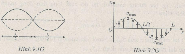 Giải bài tập SBT Vật lý 12 bài 9: Sóng dừng