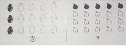 Giải vở bài tập Toán 2 bài 117: Một phần năm