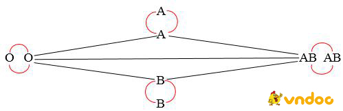 Giải bài tập SGK Sinh học 8 bài 15: Đông máu và nguyên tắc truyền máu