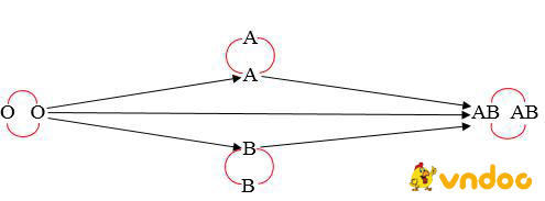 Giải bài tập SGK Sinh học 8 bài 15: Đông máu và nguyên tắc truyền máu