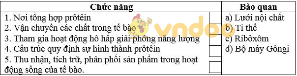 Giải bài tập SGK Sinh học 8 bài 3: Tế bào