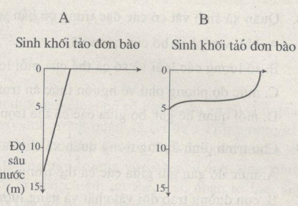 Giải SBT Sinh học 12: Bài tập tự giải trang 141