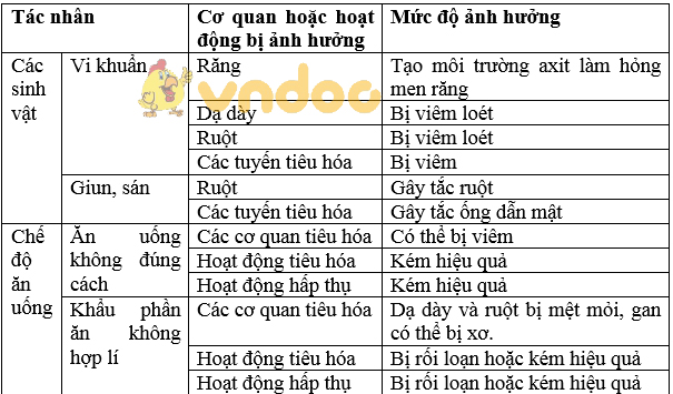 Giải bài tập SGK Sinh học 8 bài 30: Vệ sinh tiêu hóa