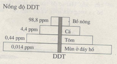 Giải SBT Sinh học 12: Bài tập tự giải trang 150