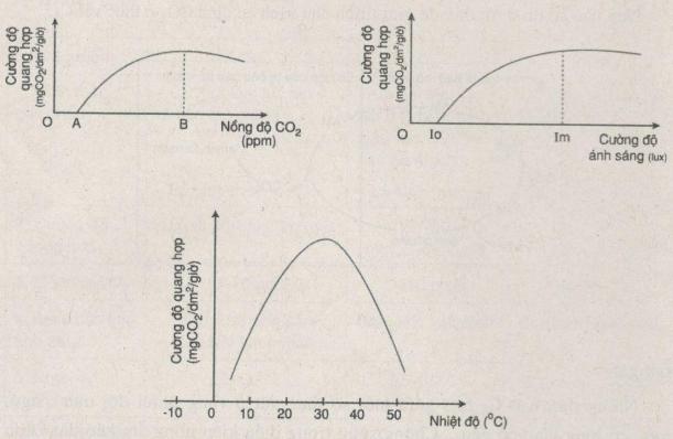 Giải SBT Sinh học 12: Bài tập trắc nghiệm trang 153