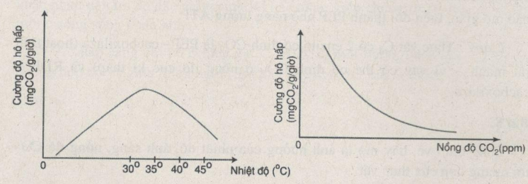Giải SBT Sinh học 12: Bài tập trắc nghiệm trang 153
