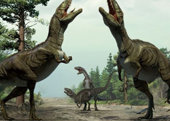 Trắc nghiệm đoán tên động vật