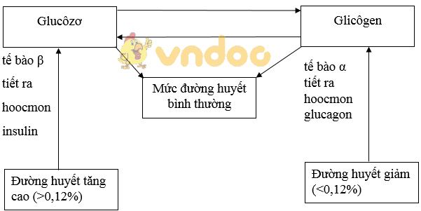 Giải bài tập SGK Sinh học 8 bài 57