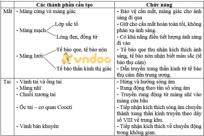 Giải bài tập SGK Sinh học 8 bài 66: Ôn tập - Tổng kết