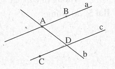 Bài tập cuối tuần môn Toán lớp 6