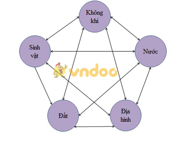 Giải bài tập SGK Địa lý 8 bài 20: Khí hậu và cảnh quan trên Trái Đất