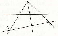 Bài tập cuối tuần môn Toán lớp 6