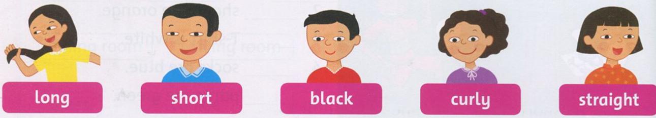 Giải bài tập tiếng Anh lớp 2