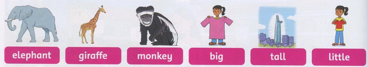 Giải bài tập tiếng Anh lớp 2