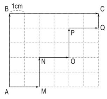 Giải vở bài tập Toán 2 bài 164: Ôn tập hình học (tiếp theo)