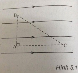 Trắc nghiệm Vật lý 11