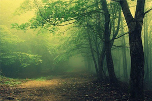 Trắc nghiệm tính cách