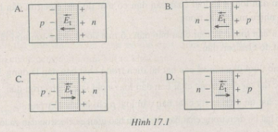 Giải bài tập SBT Vật lý 11 bài 17