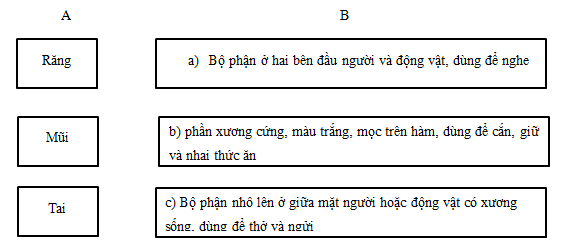Luyện từ và câu - Từ nhiều nghĩa
