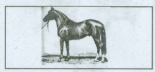 Đề kiểm tra cuối tuần Toán lớp 1: Tuần 2 - Đề 2